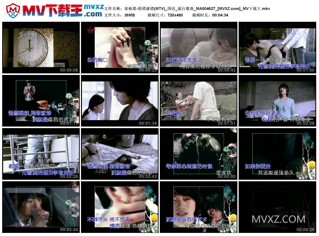 张栋梁-将错就错(MTV)_国语_流行歌曲_MA504627